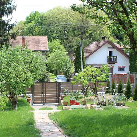 Buzzing Retreat Villa Velika Remeta Exterior photo