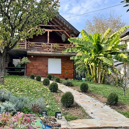 Buzzing Retreat Villa Velika Remeta Exterior photo